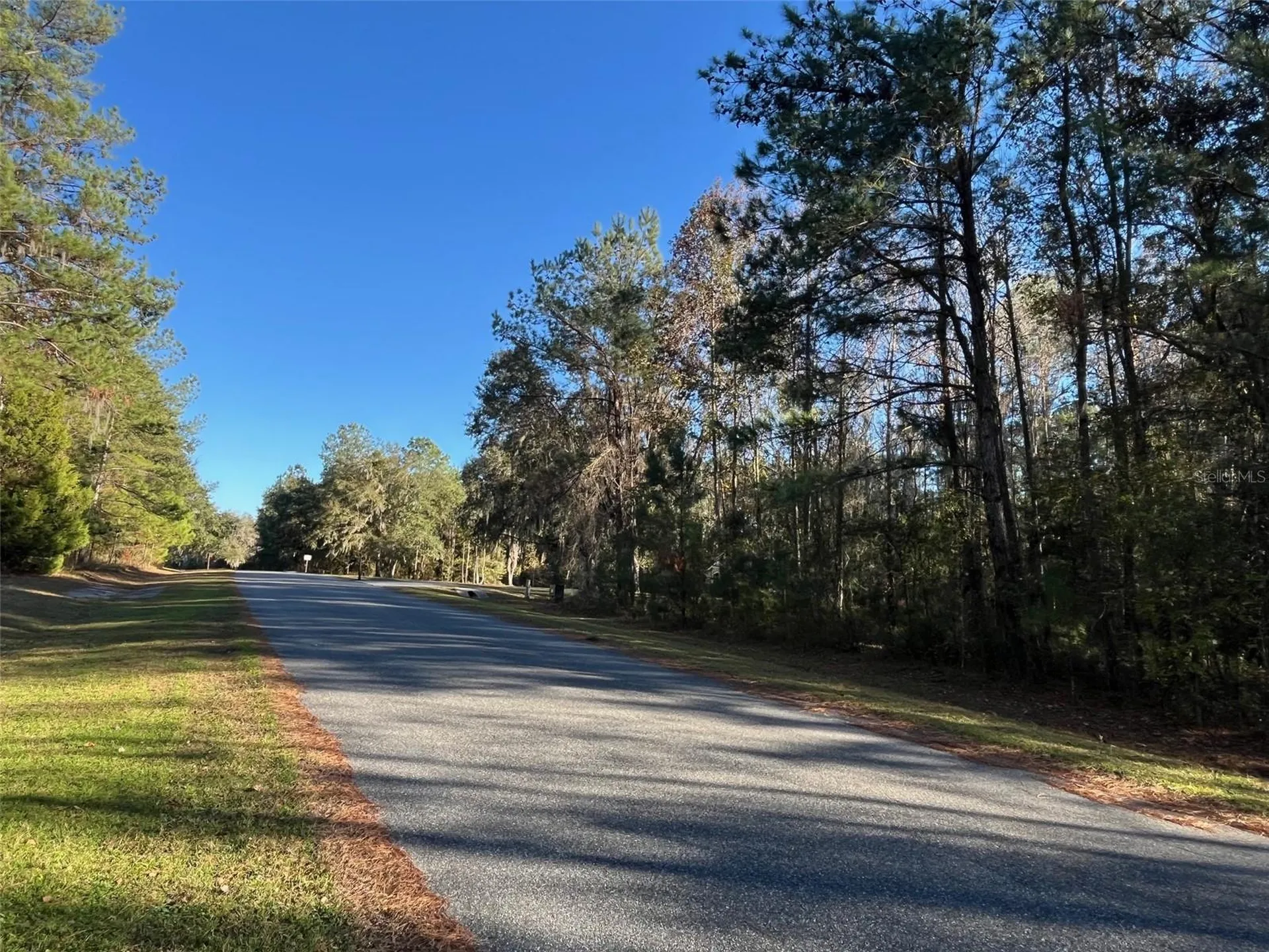 Tbd NW 148 Lane Williston FL 32696