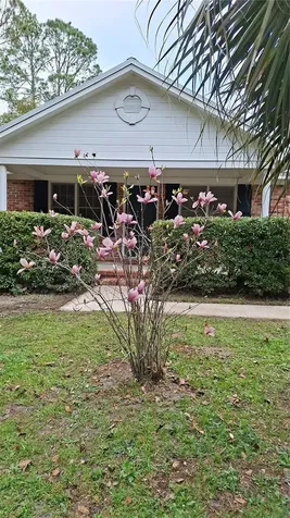 23086 NW 189th Avenue High Springs FL 32643