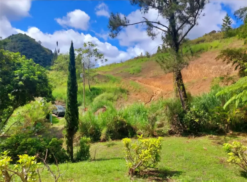 720 Palo Hincado Barranquitas PR 00794