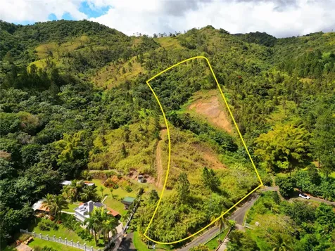 720 Palo Hincado Barranquitas PR 00794