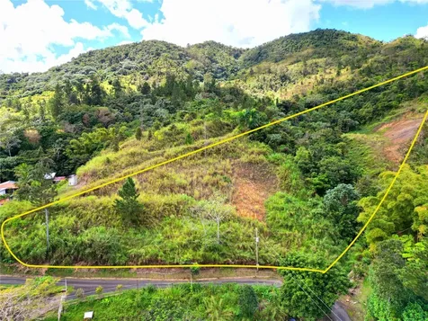 720 Palo Hincado Barranquitas PR 00794