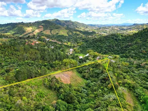 720 Palo Hincado Barranquitas PR 00794
