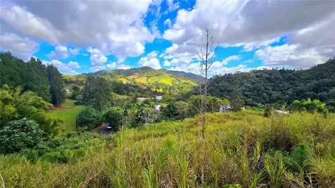 720 Palo Hincado Barranquitas PR 00794