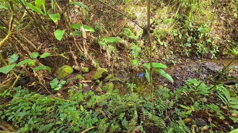 720 Palo Hincado Barranquitas PR 00794