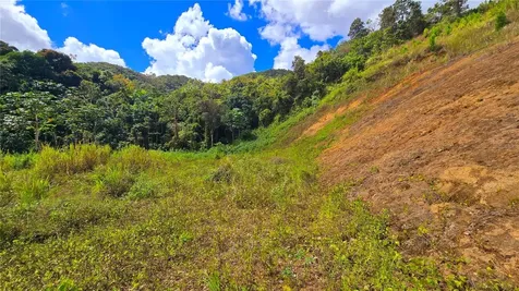 720 Palo Hincado Barranquitas PR 00794