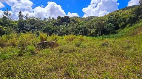 720 Palo Hincado Barranquitas PR 00794