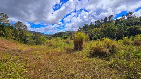 720 Palo Hincado Barranquitas PR 00794