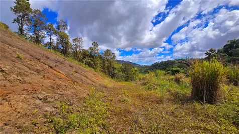 720 Palo Hincado Barranquitas PR 00794