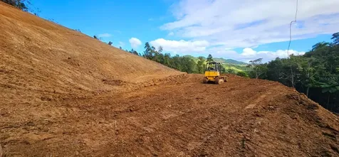 720 Palo Hincado Barranquitas PR 00794