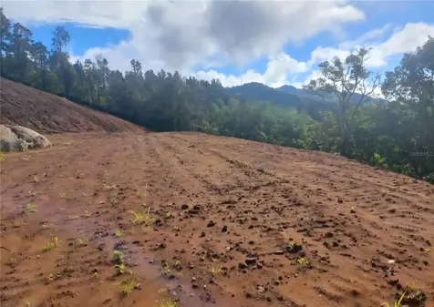 720 Palo Hincado Barranquitas PR 00794