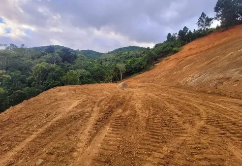 720 Palo Hincado Barranquitas PR 00794