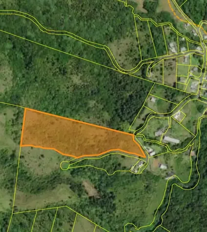 720 Palo Hincado Barranquitas PR 00794