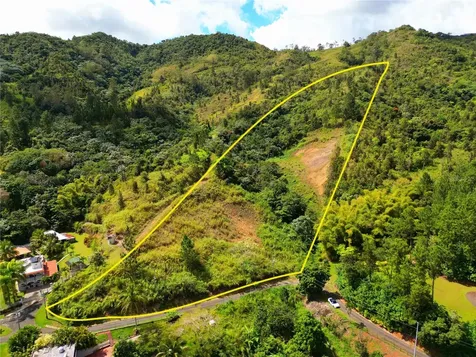 720 Palo Hincado Barranquitas PR 00794