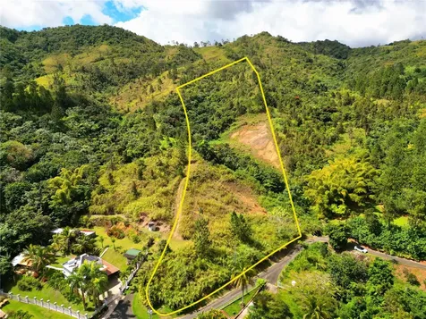 720 Palo Hincado Barranquitas PR 00794