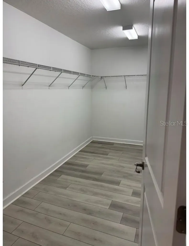 19095 Andrea Lynn Lane Land O Lakes FL 34638
