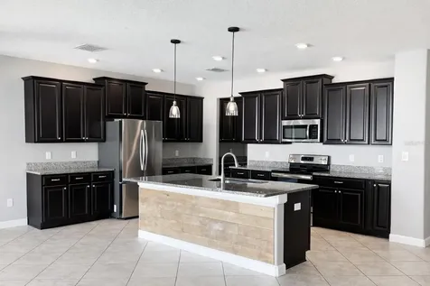 19095 Andrea Lynn Lane Land O Lakes FL 34638
