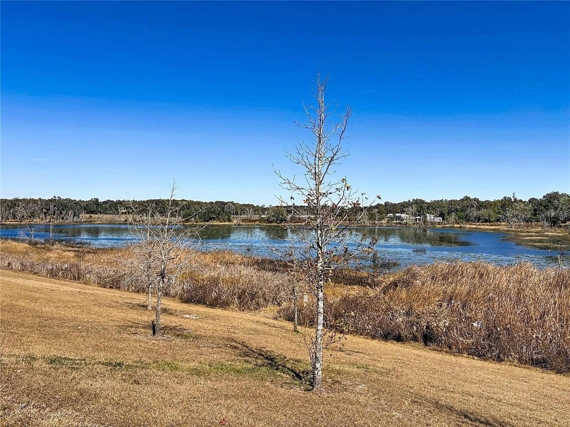 2312 Litchfield Loop Deland FL 32720