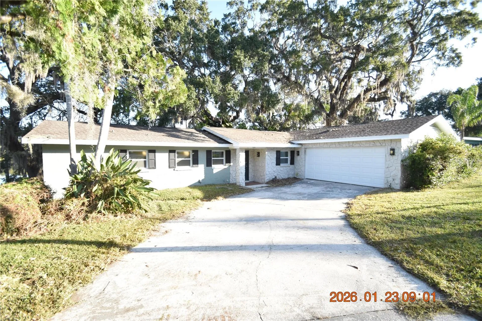 3606 River Grove Drive Tampa FL 33610