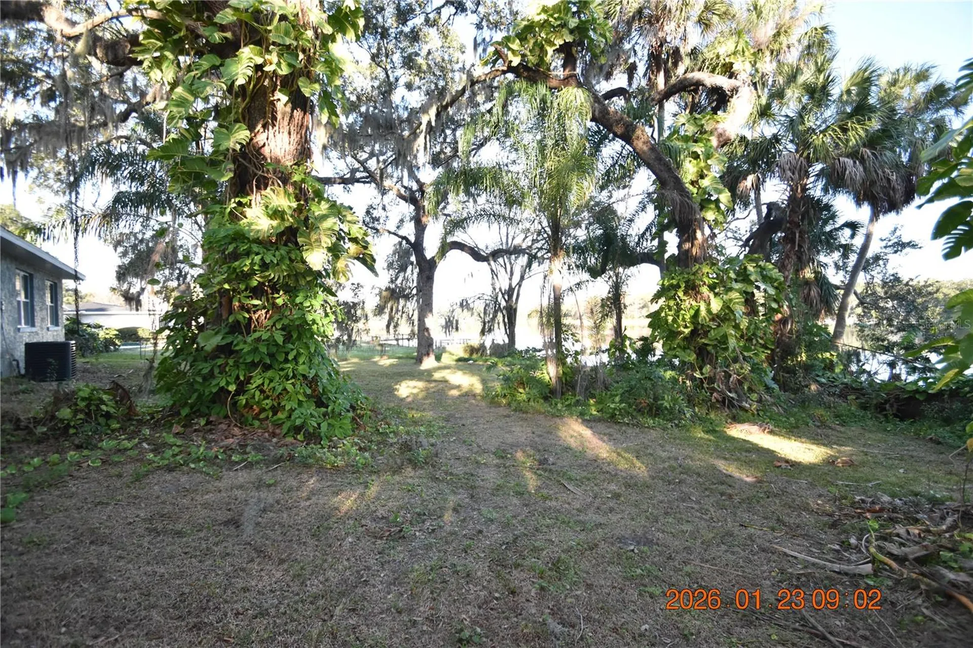 3606 River Grove Drive Tampa FL 33610
