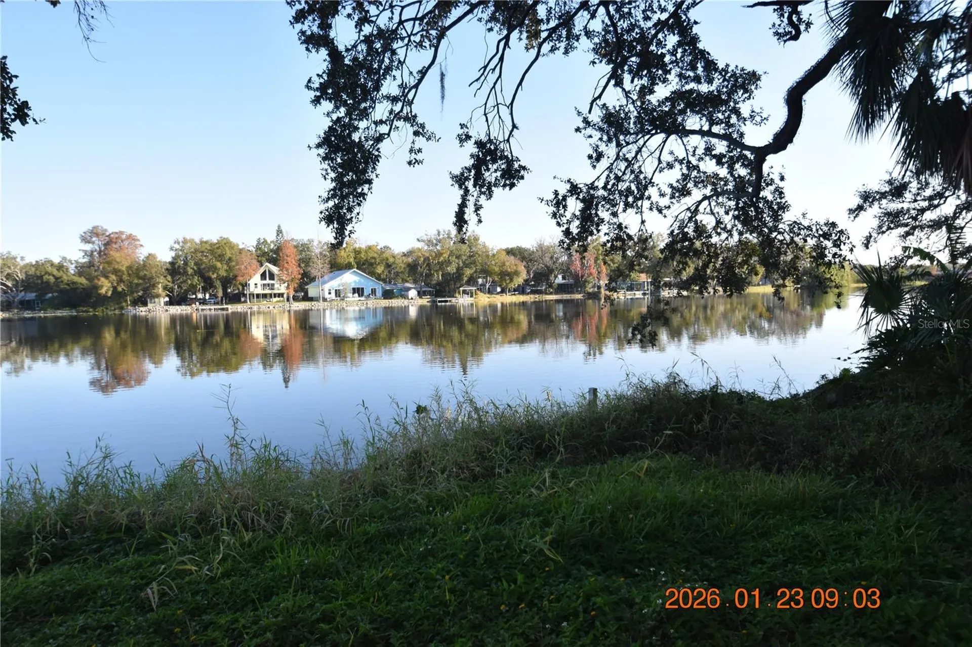3606 River Grove Drive Tampa FL 33610