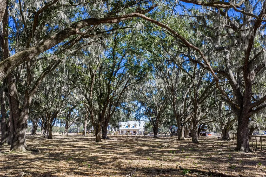 808 Old Welcome Road Lithia FL 33547