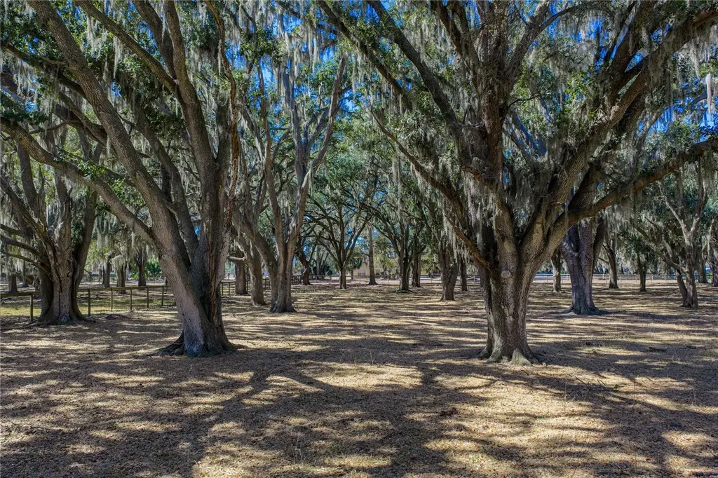 808 Old Welcome Road Lithia FL 33547