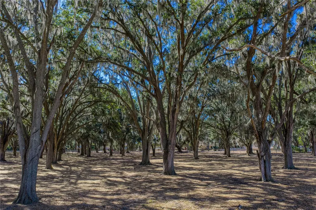 808 Old Welcome Road Lithia FL 33547