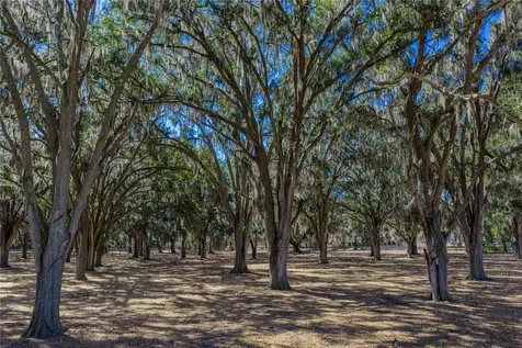 808 Old Welcome Road Lithia FL 33547