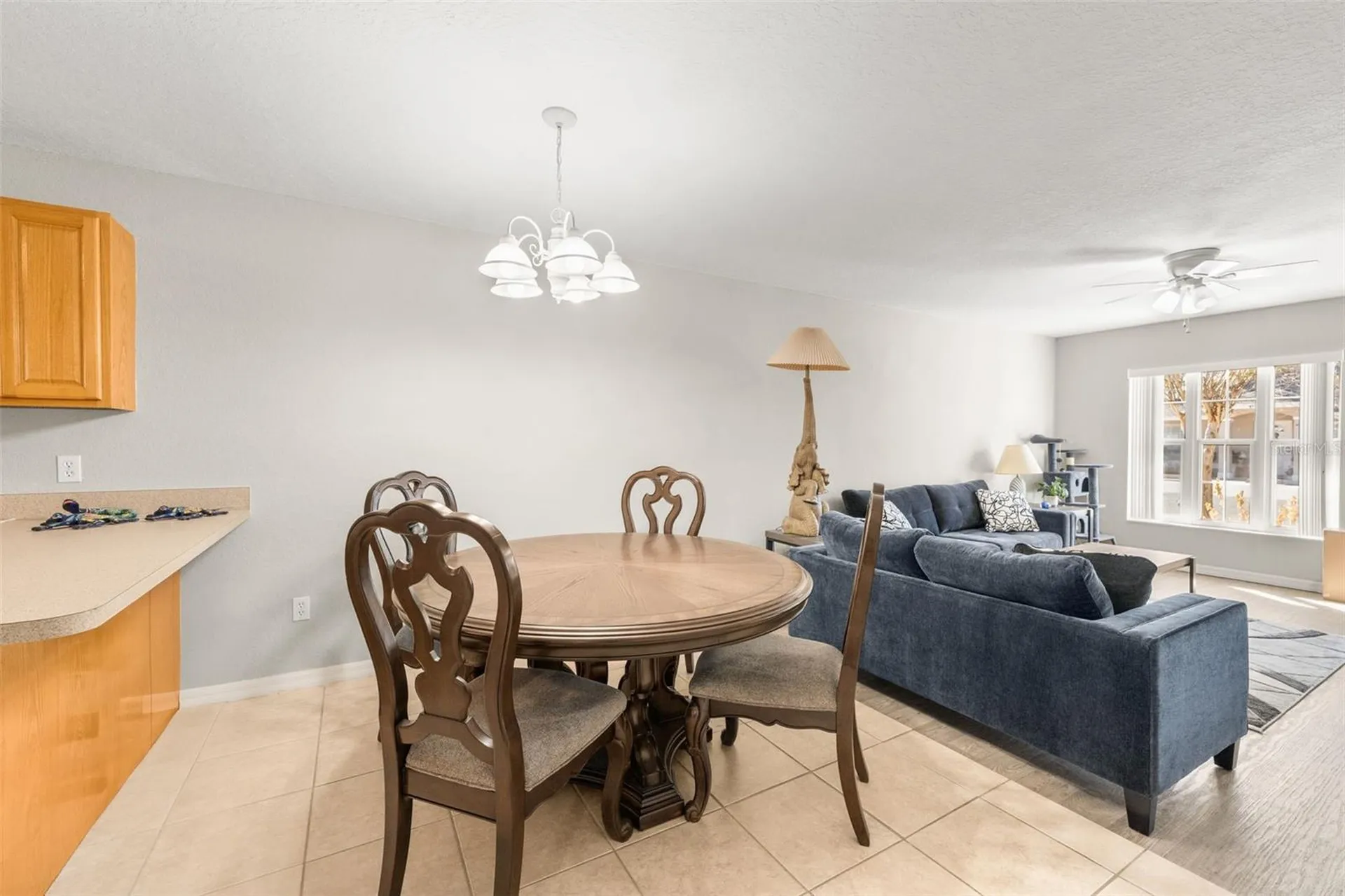 3630 NE 8th Place Ocala FL 34470