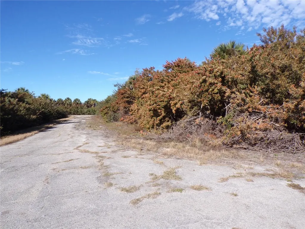 Crimsonglory Road North Port FL 34288