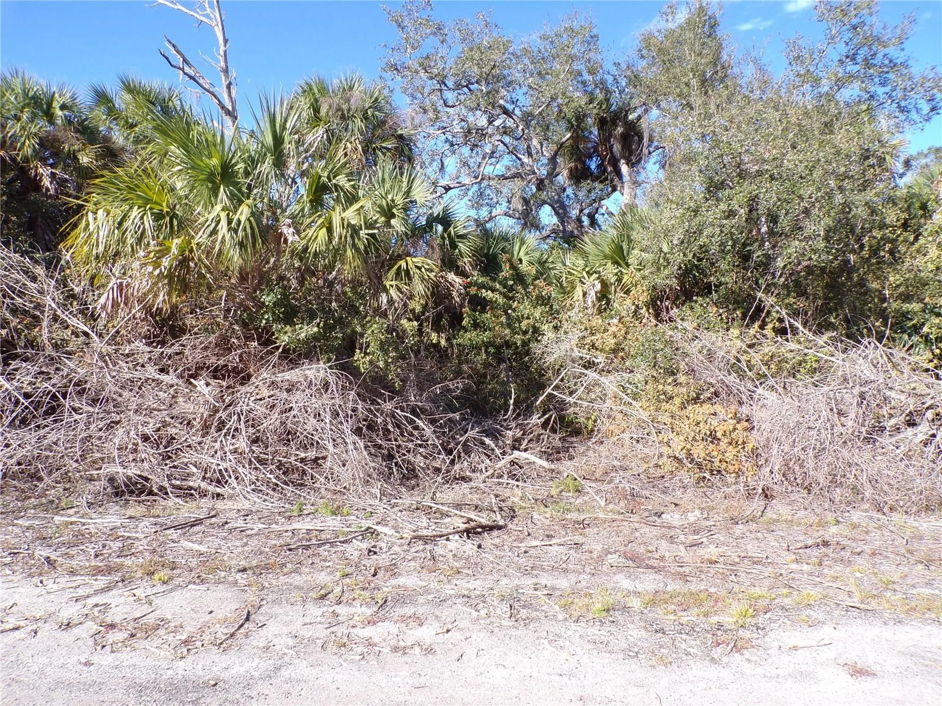 Crimsonglory Road North Port FL 34288