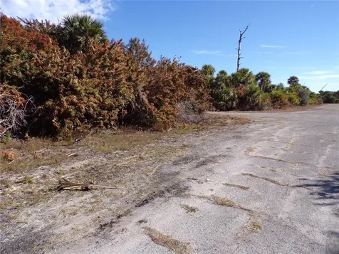 Crimsonglory Road North Port FL 34288