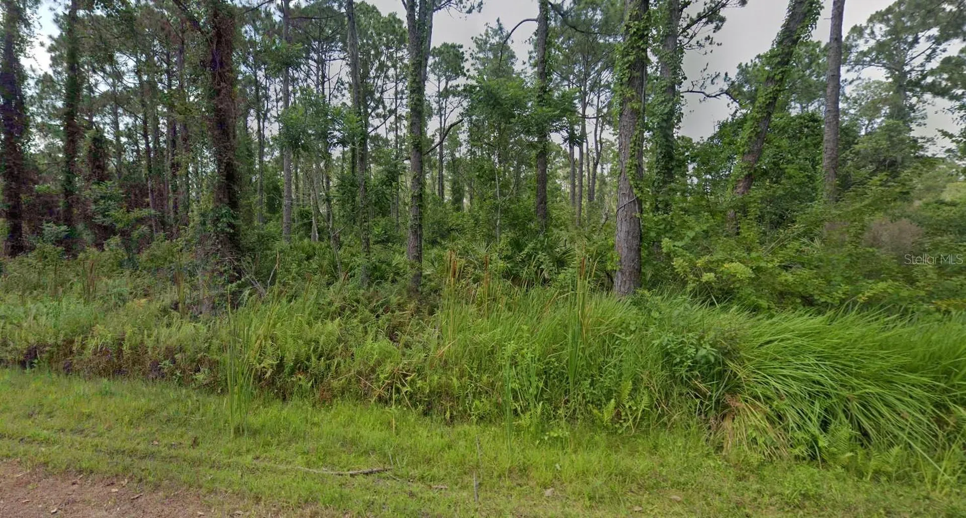 8624 Lena Drive Sebring FL 33872