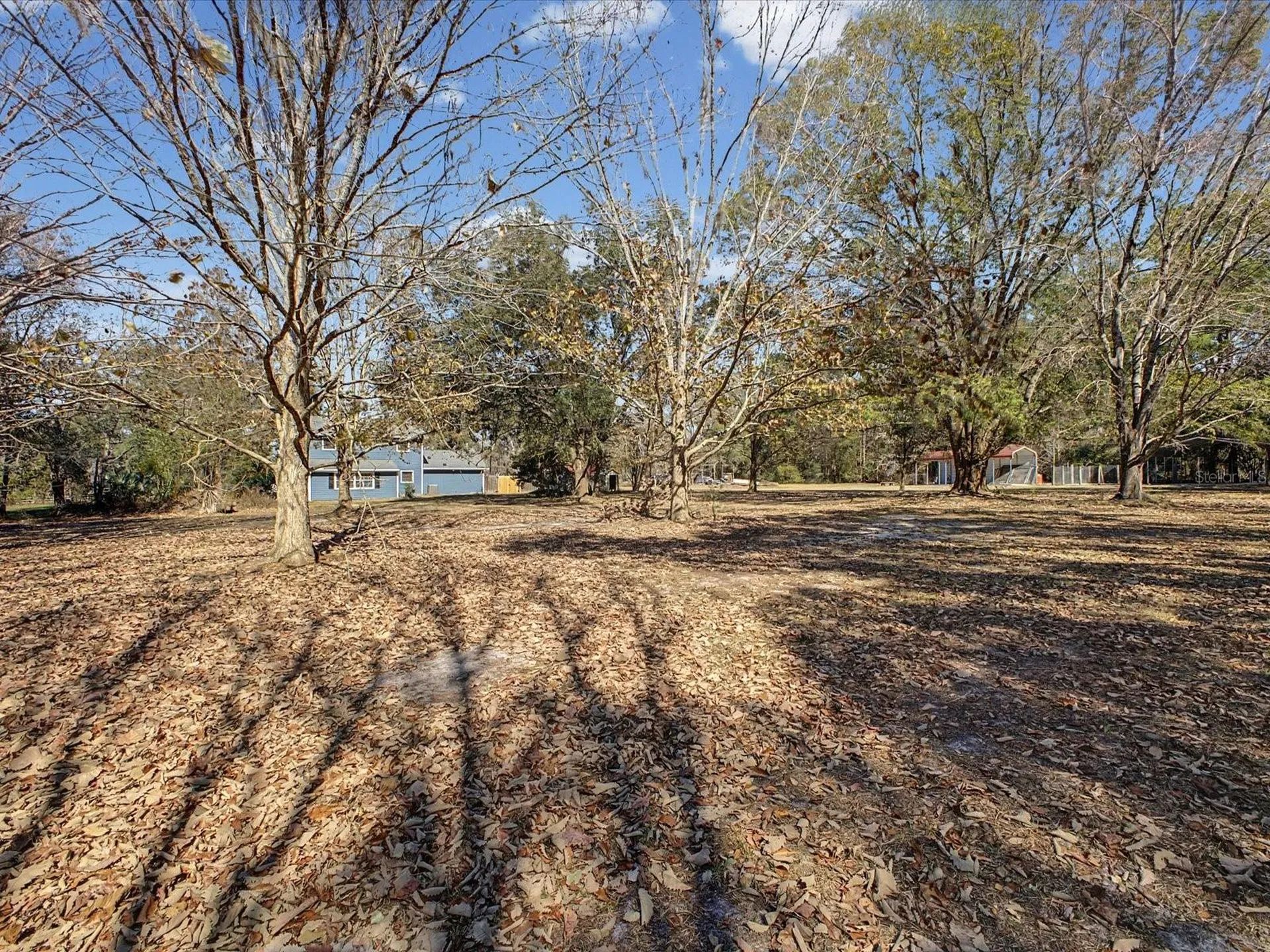 24420 Lanark Road Brooksville FL 34601