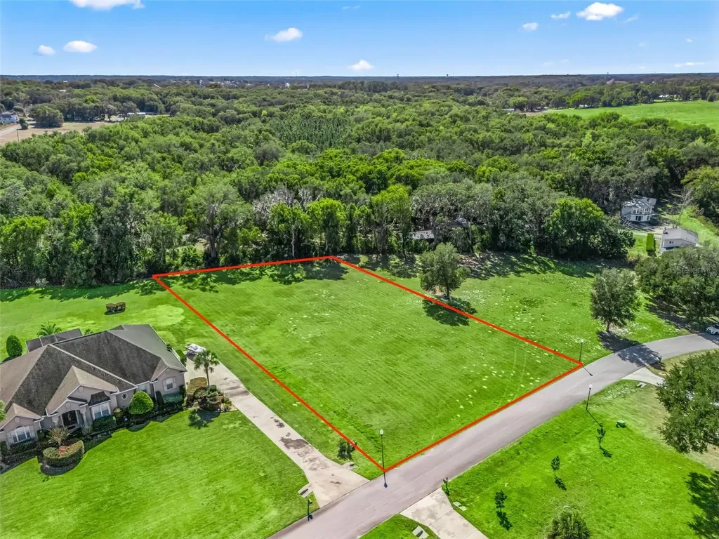 SE 156th Lane Weirsdale FL 32195