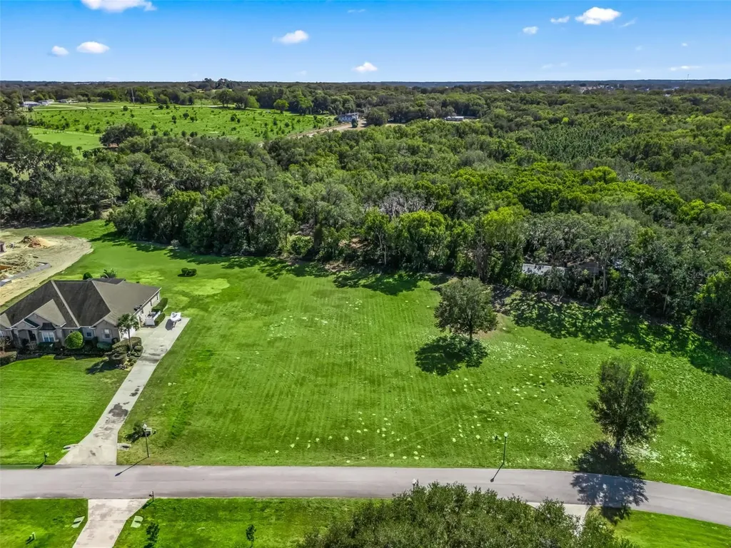 SE 156th Lane Weirsdale FL 32195