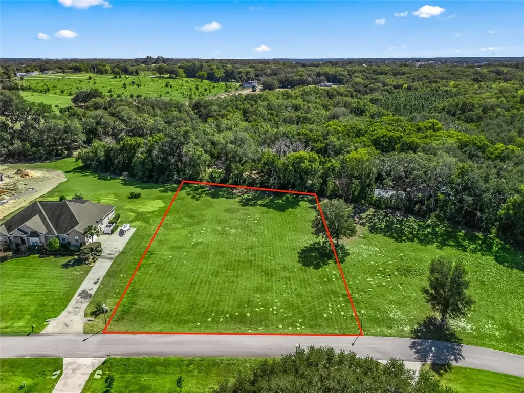 SE 156th Lane Weirsdale FL 32195