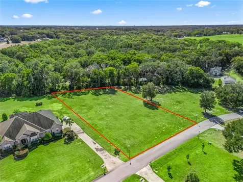 SE 156th Lane Weirsdale FL 32195