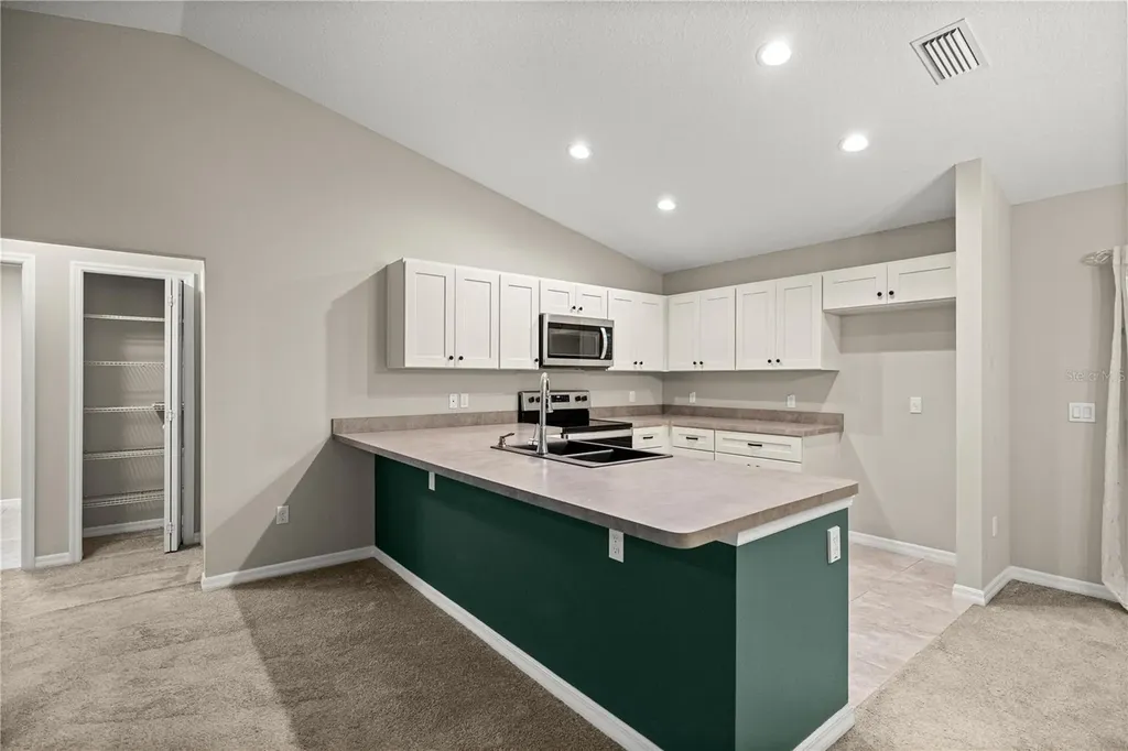 1453 NE 161st Place Citra FL 32113