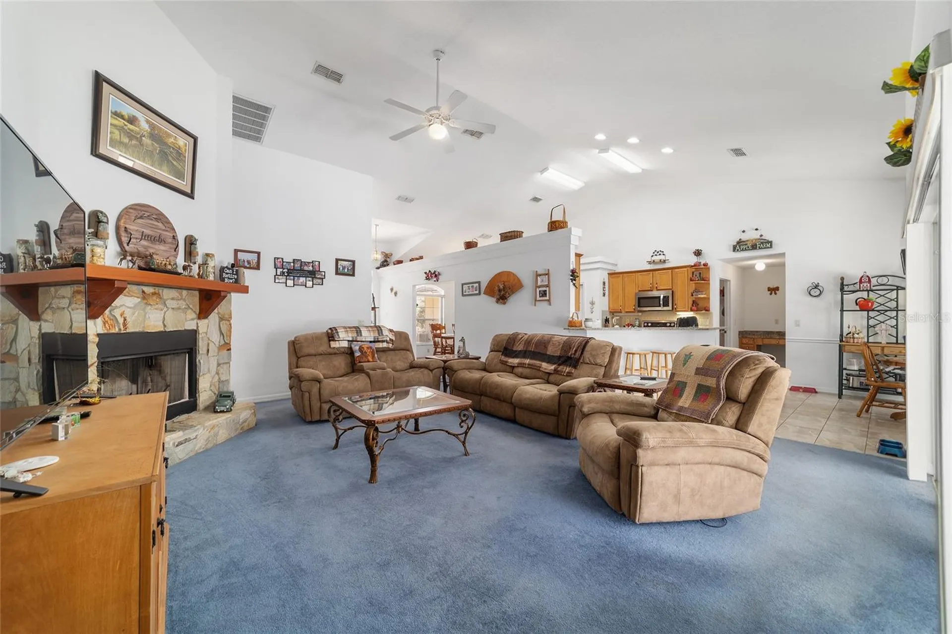 13100 SE 30th Court Belleview FL 34420