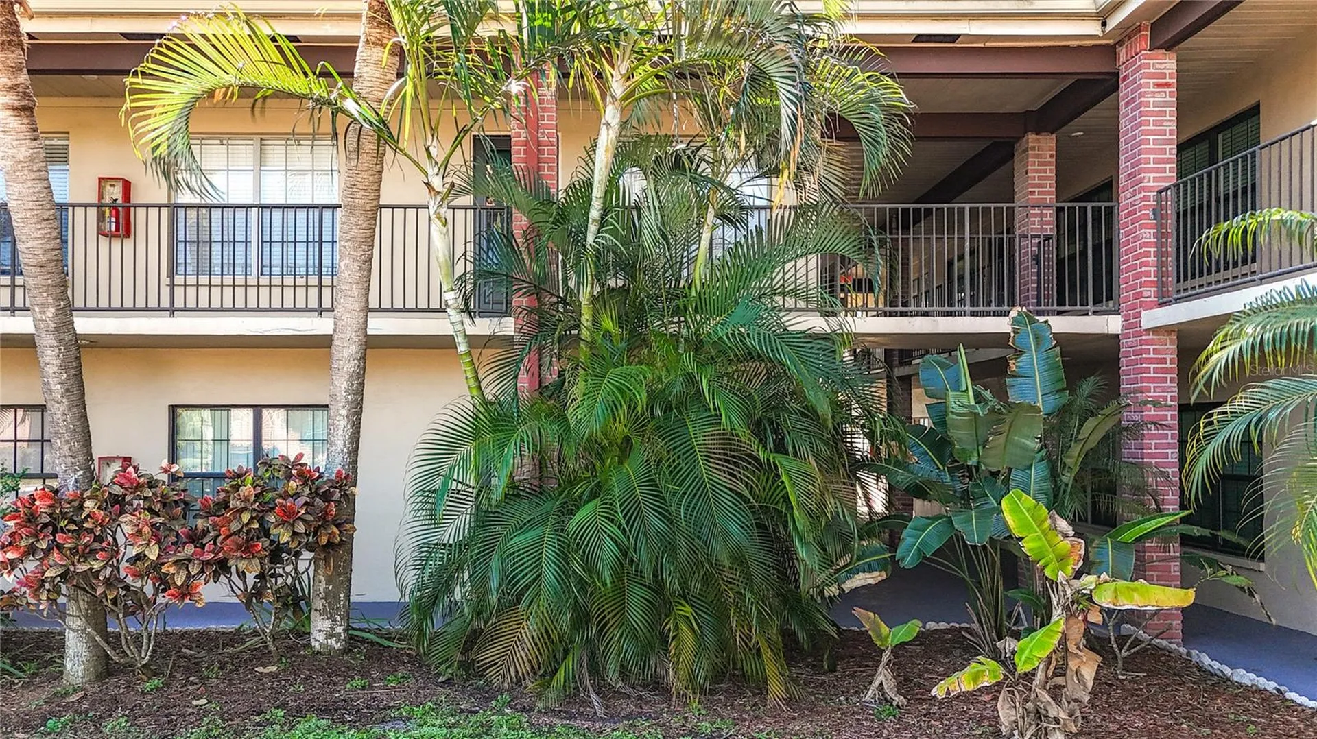 1020 85th Avenue N St Petersburg FL 33702