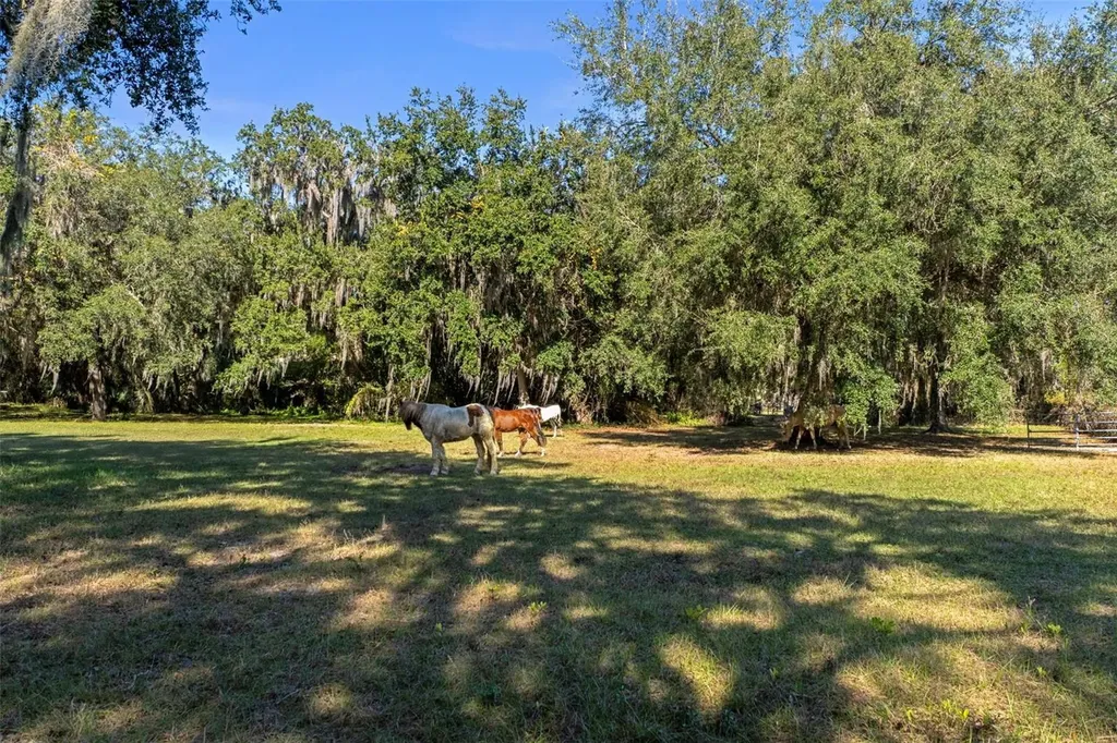 Okahumpka FL 34762
