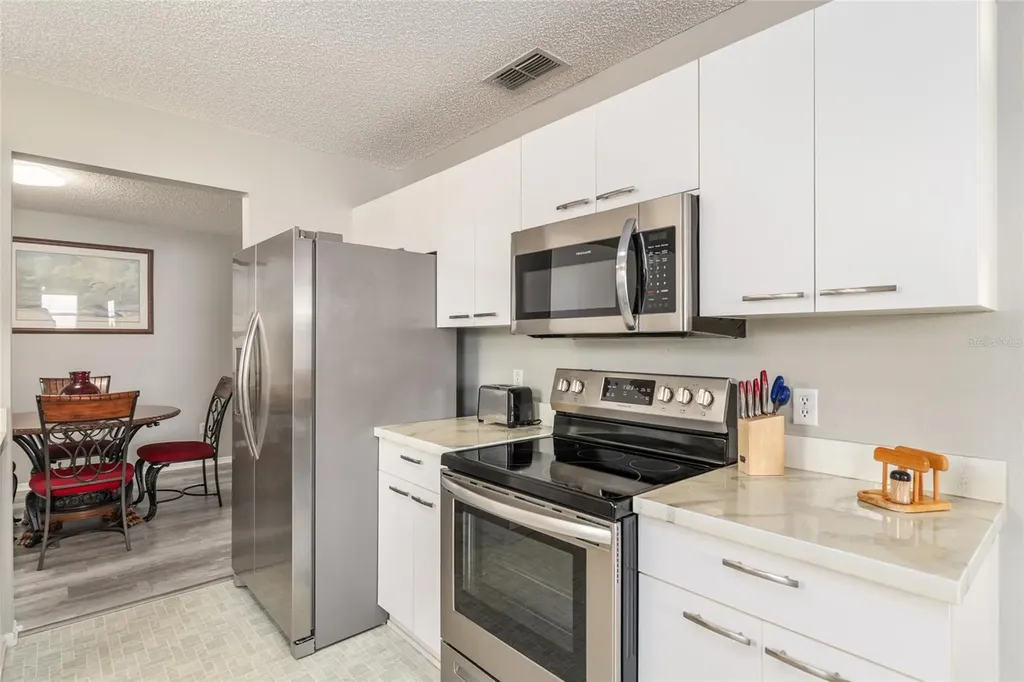 335 San Marino Drive The Villages FL 32159