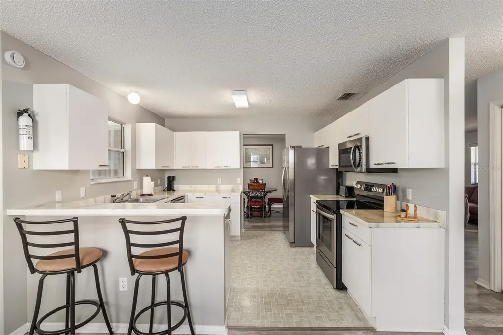 335 San Marino Drive The Villages FL 32159
