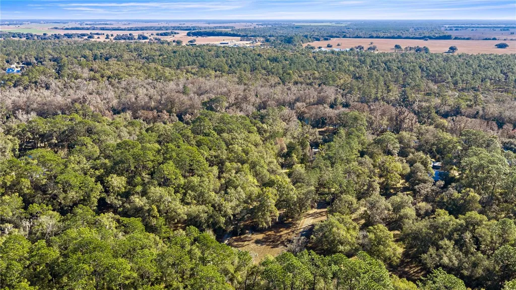 10377 SW 186th Avenue Dunnellon FL 34432