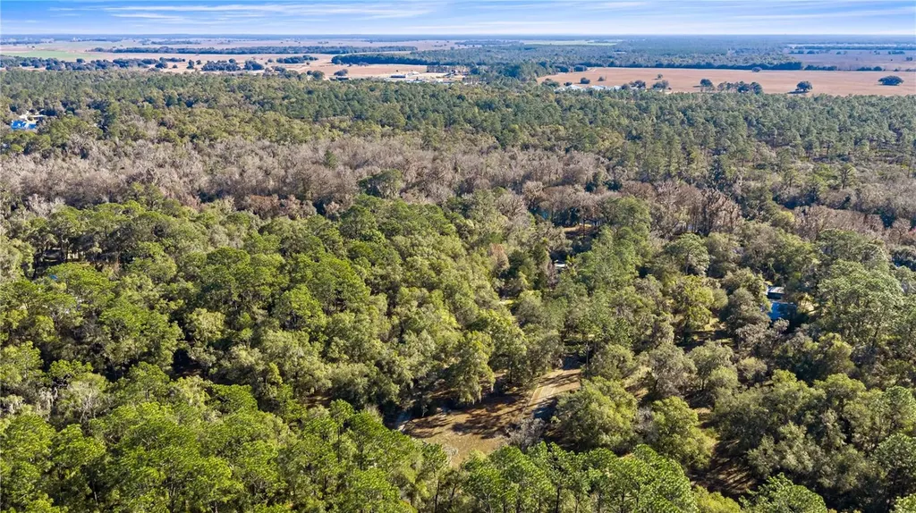 10377 SW 186th Avenue Dunnellon FL 34432