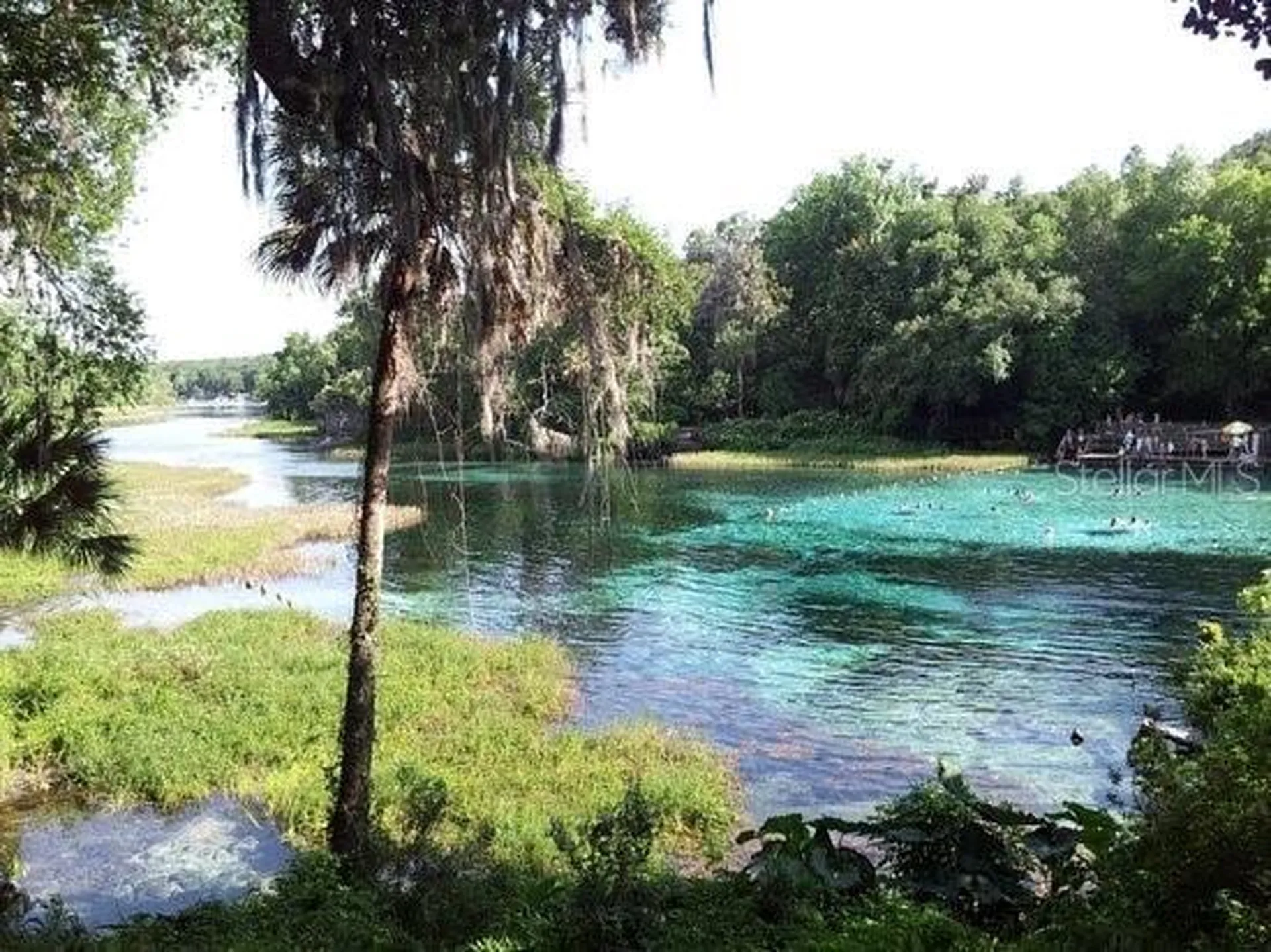 10377 SW 186th Avenue Dunnellon FL 34432