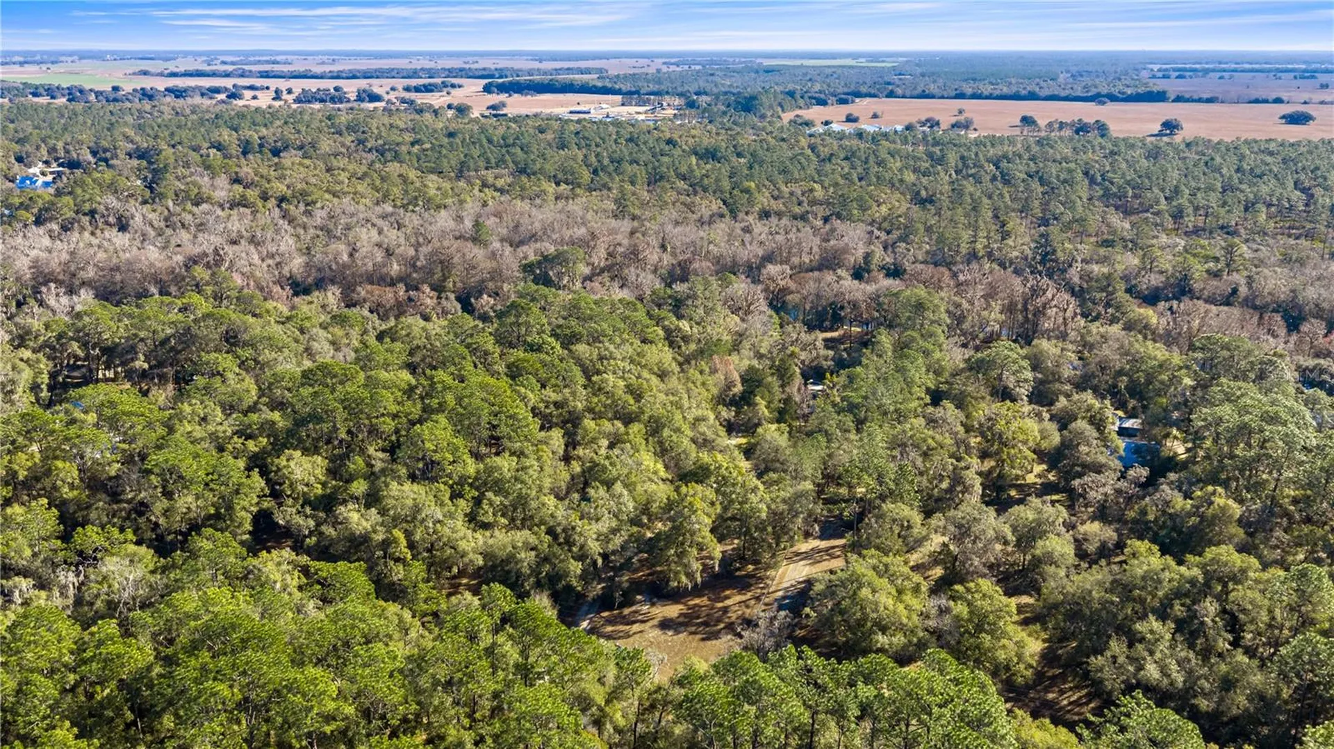 10377 SW 186th Avenue Dunnellon FL 34432