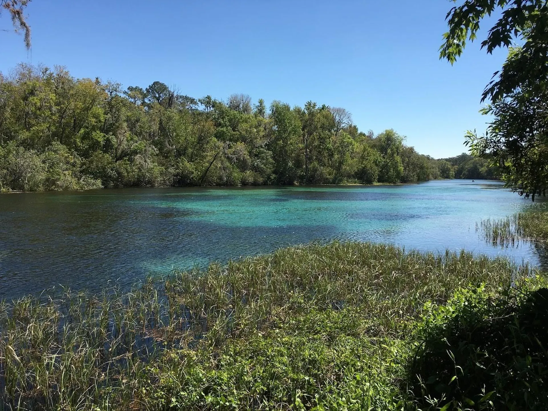 10377 SW 186th Avenue Dunnellon FL 34432