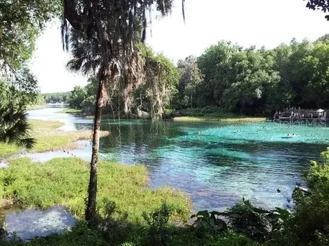 10377 SW 186th Avenue Dunnellon FL 34432